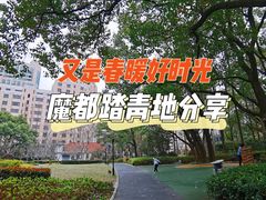 -徐家汇源景区-衡山公园