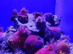 -青岛海底世界-水族馆