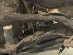 -正佳雨林生态植物园