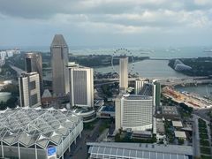 -新加坡瑞士史丹福酒店