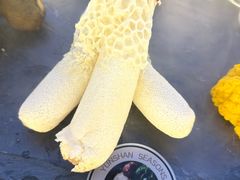 -芸山季·云南野生菌火锅(宝能环球汇店)