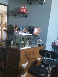 -椿树下·Tattoo纹身工作室