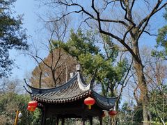 -上海醉白池公园