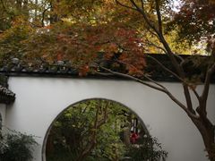 -上海醉白池公园