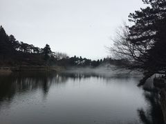 -庐山风景区花径公园