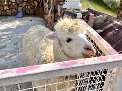 -金庭庄园酒店-停车场