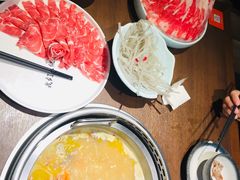 -快乐小羊·内蒙牛羊肉火锅(流花中心店)