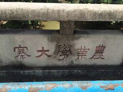 -小洲村
