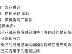 -Gucci(南京德基店)