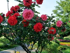 -艾溪湖湿地公园