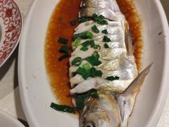 -金美华轩(东方路齐鲁店)