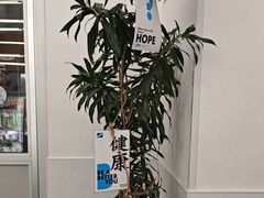 -Blueglass酸奶(上生新所店)