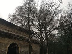 -灵谷景区