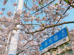 -永乐路-路侧停车场