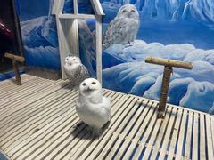 -成都浩海立方海洋公园
