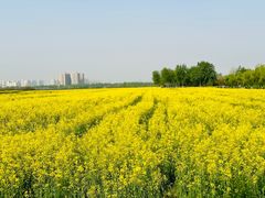 -汉长安城未央宫国家考古遗址公园