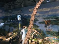 -自贡恐龙博物馆