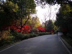 -南京市江宁方山