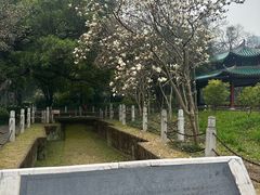 -柳侯公园