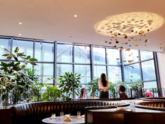 大堂-大树餐厅(红旗街万达店)