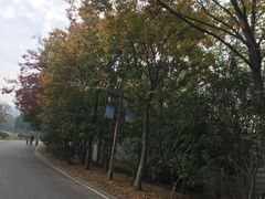-南京市江宁方山