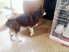 -熊猫邮局(少城店)