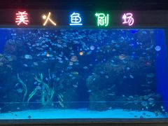 -邯郸海洋世界