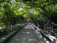-烟台山景区