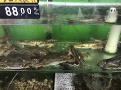 -四海鲜渔家菜(黄金海岸店)