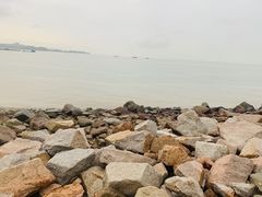 -野狸岛