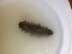 -青岛天瑞星空酒店