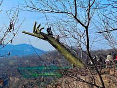 -伏羲山旅游区