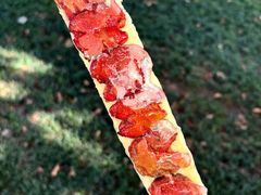 -头牌小厨·福田大排档(石厦店)