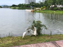 -琅岐红光湖公园
