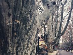 -T80科技文化国际社区-停车场