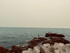 -青岛奥林匹克帆船中心