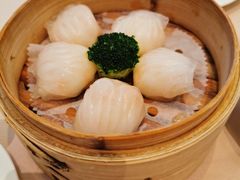 -金苑海鲜酒家(来魅力店)