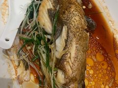 -大东海海鲜酒楼(渔人码头总店)