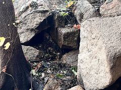 -北京凤凰岭