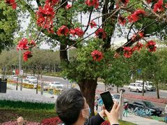 -云溪植物园