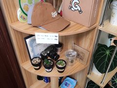-SAFARI COFFEE