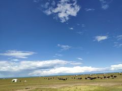 -青海湖国家重点风景名胜区