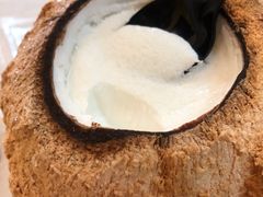 -志龙皇冠吃货椰子铺