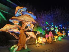 -陕西自然博物馆