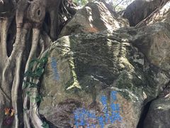-宋井风景区