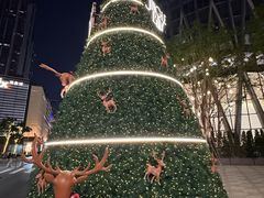 -深圳湾万象城(南山店)