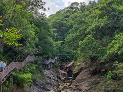 -广州白江湖森林公园