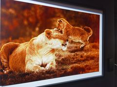 -罗红摄影艺术馆