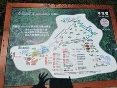 -野象谷景区