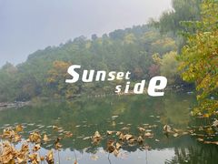 -香山公园